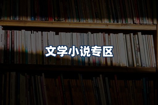 文学小说PDF展示